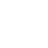 NeVo NewVolume.pl Polski Serwer RPG FiveM server icon