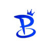 Power Roleplay FiveM server icon