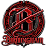 BIRMINGHAM RP @RebirthzVPS FiveM server icon