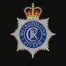 Metropolitan FivePD FiveM server icon
