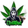 CO FiveM server icon