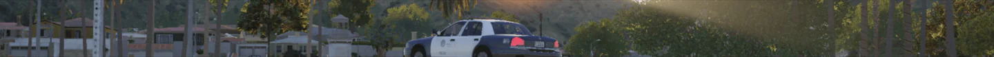 🦁Lion Police RP FiveM server banner