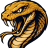 Bulls Roleplay FiveM server icon
