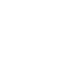 ROLEPLAY VIETNAM FiveM server icon