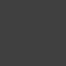 dev FiveM server icon
