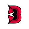 dev FiveM server icon