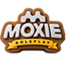 New Story Same Memory FiveM server icon