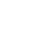 3Z3D Test FiveM server icon