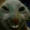 We Wuz Kangz brother FiveM server icon