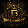 Brotherhood RP | GERMAN | EINZIGARTIG FiveM server icon