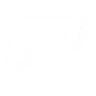 PvP PRIME FiveM server icon