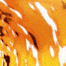 [ESP] LA NARANJA ROLEPLAY ┊ INAUGURACIÓN HOY FiveM server icon
