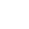 Priority RP | Development Server FiveM server icon