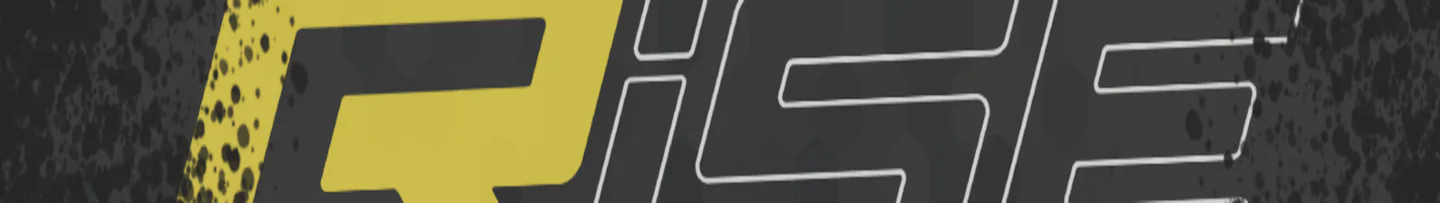 RISE Roleplay FiveM server banner