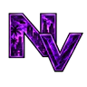 North Ville Roleplay FiveM server icon