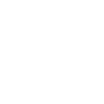 South RolePlay FiveM server icon
