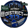 District 313 FiveM server icon