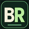 Blocus RP France | Scenario pacifiste | FR FiveM server icon