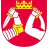 Joensuu 1990 - Dev FiveM server icon