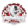 2Face FiveM server icon