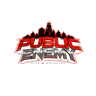 PUBLIC ENEMY FiveM server icon