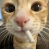 My Playground FiveM server icon