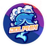 돌핀서버ㆍDOLPHIN IS BACK FiveM server icon