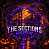🌴 The Sections Roleplay 🌴 || Semi serious RP || 👮Active Police👮 || 👧Female & 🎥Streamer Priority || 💊Drugs & Gangs🔫 || 💵 Economy💵 || Custom Cars || FiveM server icon