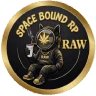 Spacebound RAW RP FiveM server icon