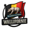 Wallifornie rp dev FiveM server icon
