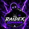 Raidex ROMANIA FiveM server icon