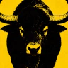 CHAPERONE PR FiveM server icon