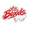 Bloods PvP | S-Beta FiveM server icon