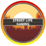 StreetLifeGaming|Whitelisted|vMenu|streetlifegaming.com FiveM server icon