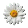 VennyV Clothing Test FiveM server icon