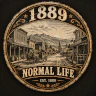 Vorp Normal Life 1 built with VORPCore! FiveM server icon