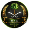 SF5 مود الشرطة FiveM server icon