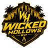 Wicked hollowsrp FiveM server icon