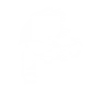 localhost FiveM server icon