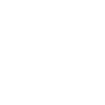Leonix Studio FiveM server icon