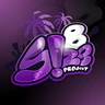 Size B Project FiveM server icon