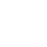 Ethereal Networks FiveM server icon
