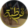 مدينة قرطبة RP FiveM server icon