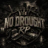 No Drought RP | New City | Player Owned Bizz | Custom Cars FiveM server icon
