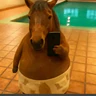 Caballo Roleplay FiveM server icon