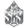 Sky Romania - discord.gg/skyrorp FiveM server icon