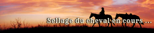One Last Time OLT FiveM server banner