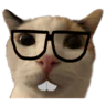O_o FiveM server icon